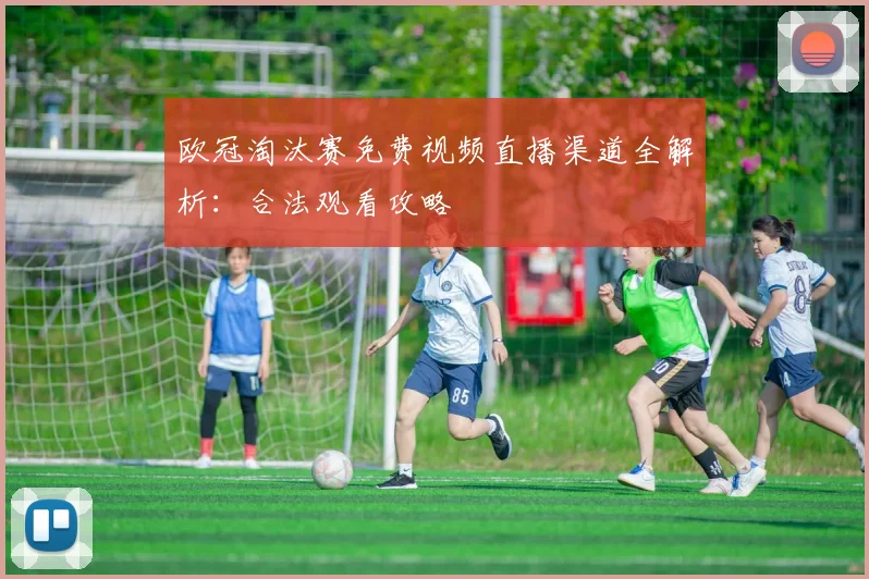 欧冠淘汰赛免费视频直播渠道全解析：合法观看攻略