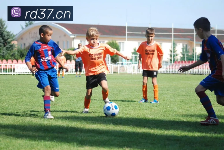 半岛官网登陆入口平台生态图